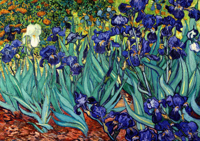 Les Iris (Schwertlilien) Vincent van Gogh